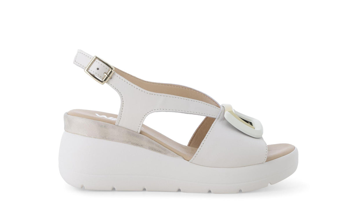 gid://shopify/Product/15761198186828_1