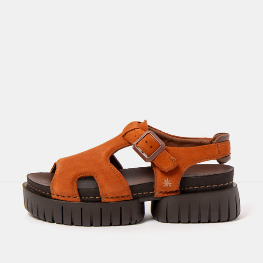 gid://shopify/Product/16172986892620_1