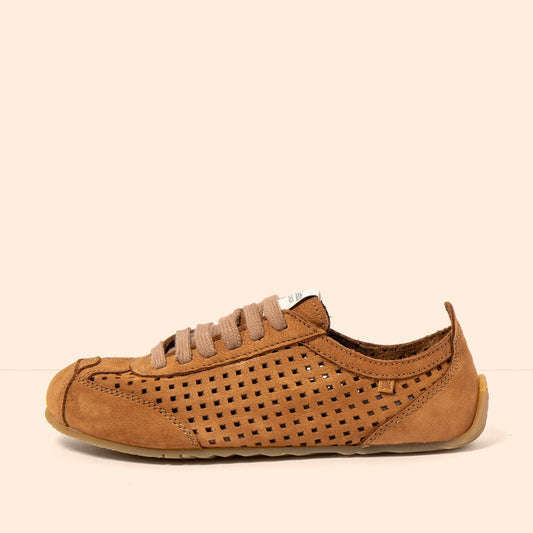 gid://shopify/Product/16124834873676_1