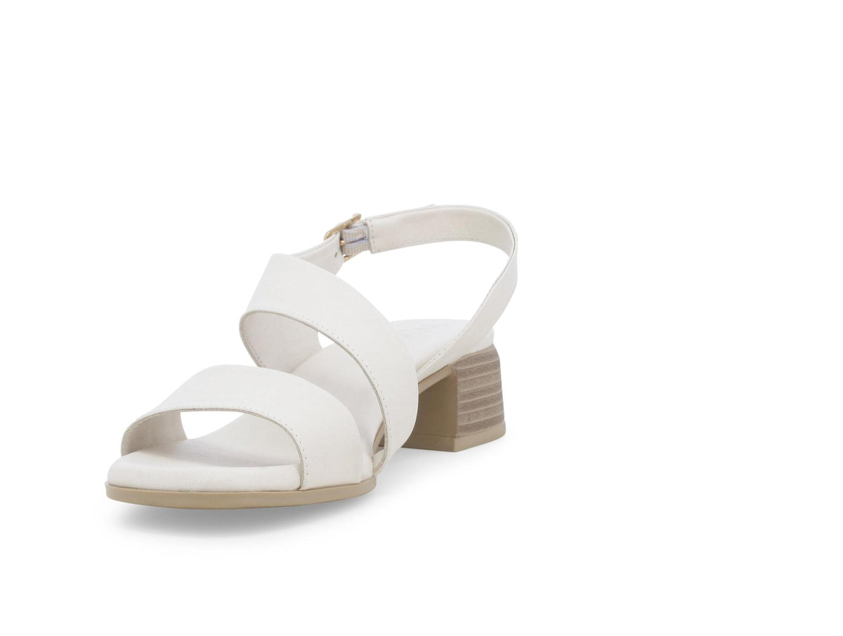 gid://shopify/Product/15761214177612_3