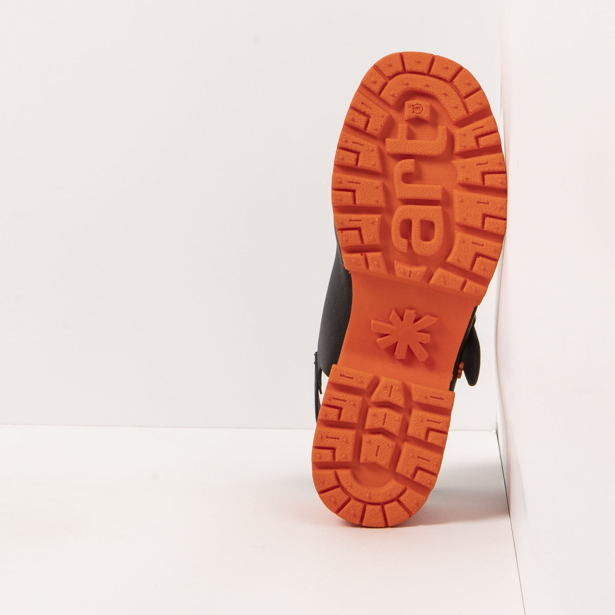 gid://shopify/Product/16171547984204_6