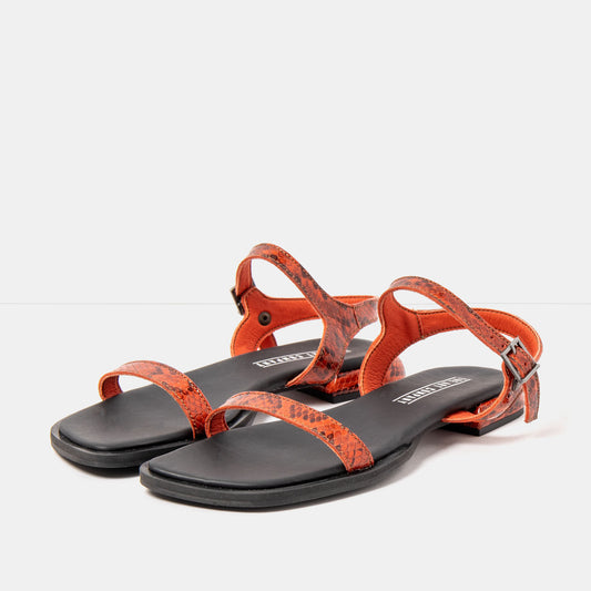 gid://shopify/Product/16173038174540_2