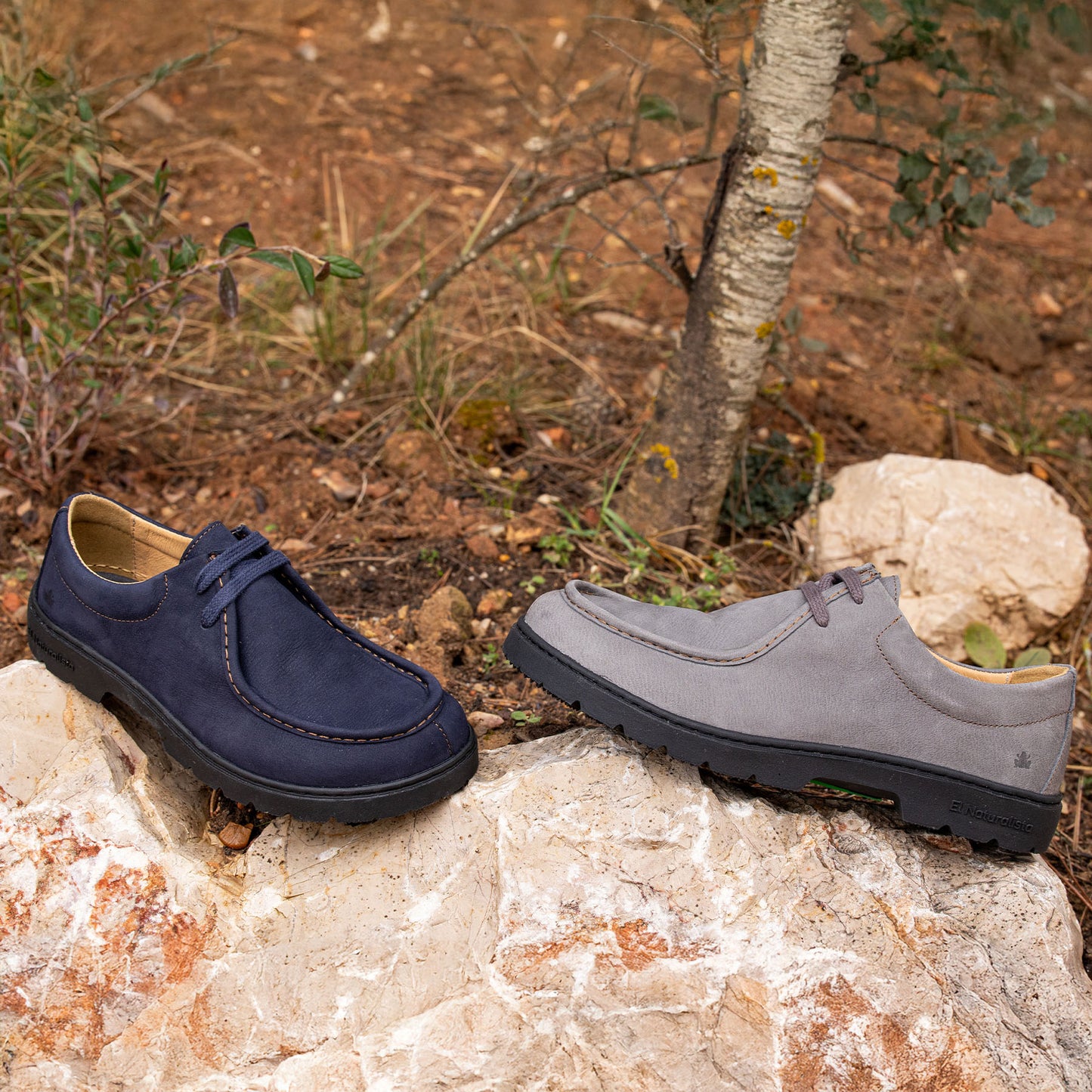 gid://shopify/Product/15792025829708_7