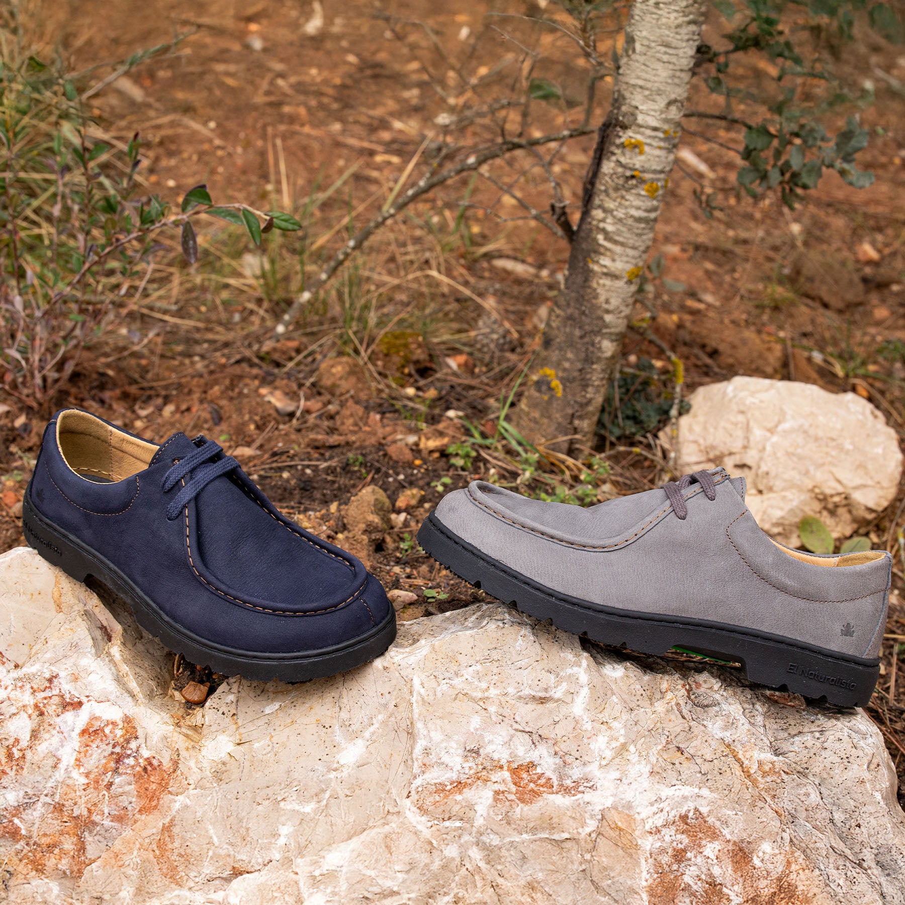 gid://shopify/Product/15792025829708_7