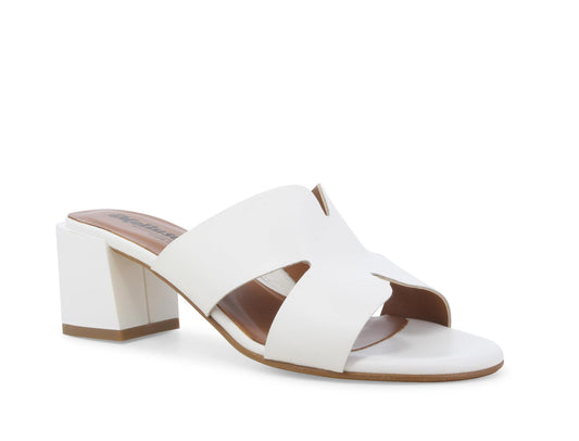 gid://shopify/Product/15686317965644_2