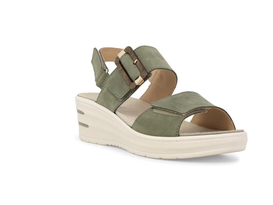 gid://shopify/Product/15686128730444_2