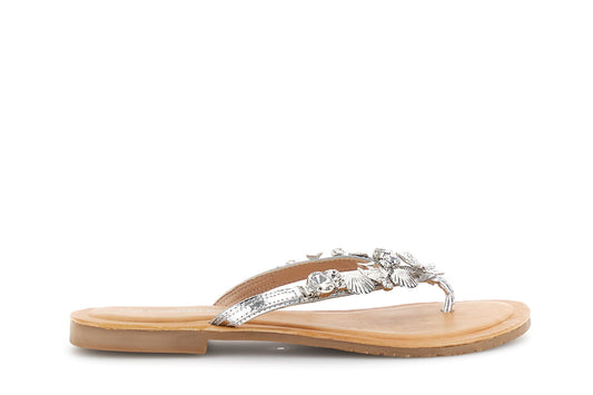 gid://shopify/Product/16176316842316_59122823692620