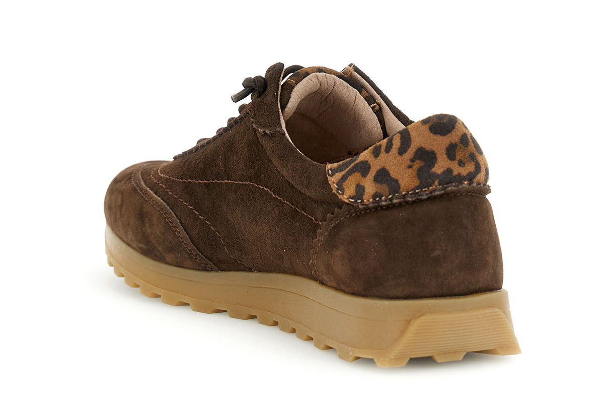 gid://shopify/Product/16176417472844_2