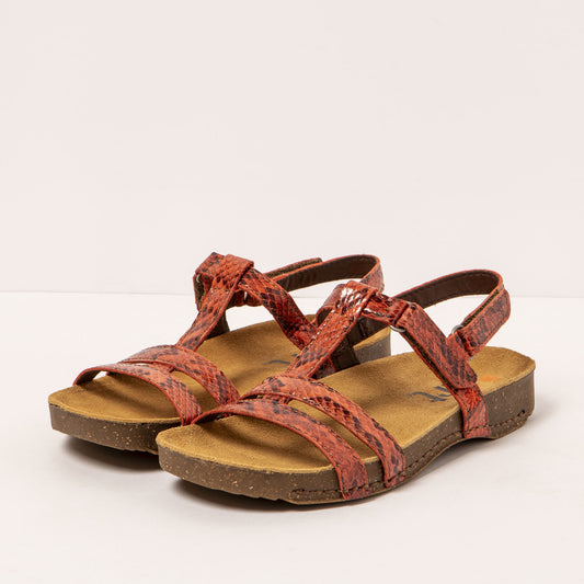 gid://shopify/Product/16171939594572_2