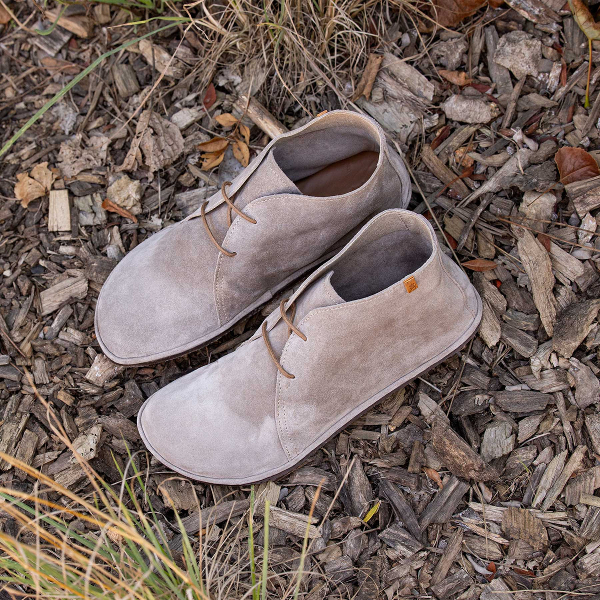 gid://shopify/Product/16124709798220_2