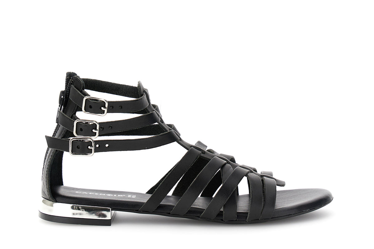 gid://shopify/Product/16122397720908_58876544123212