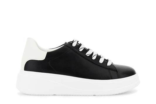gid://shopify/Product/16122174144844_58874726842700