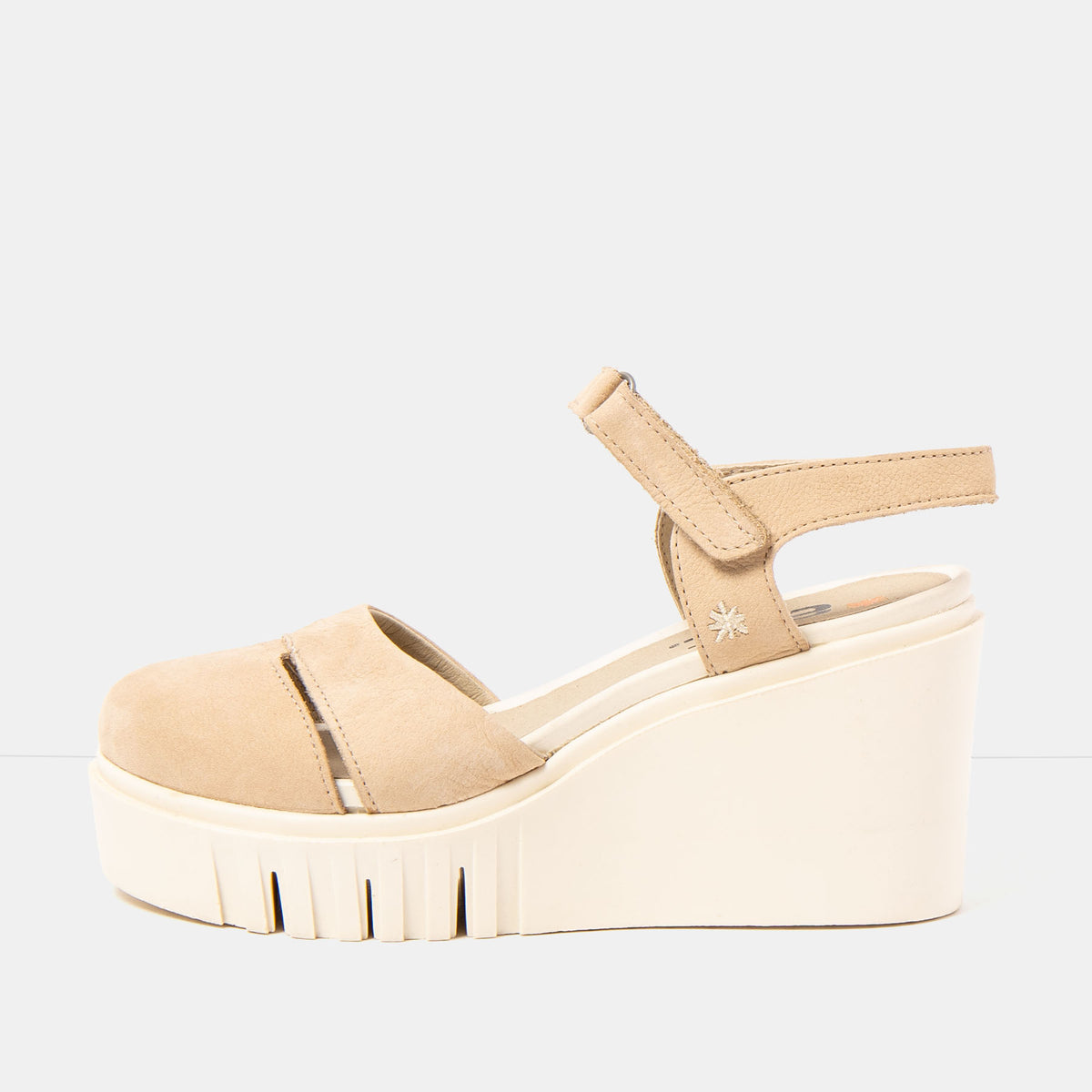 gid://shopify/Product/16173100171596_1