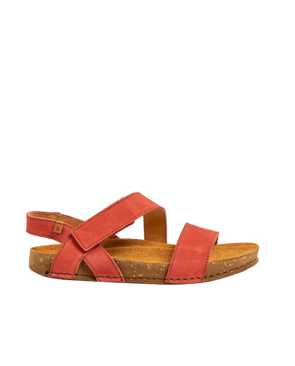 gid://shopify/Product/15700061552972_1