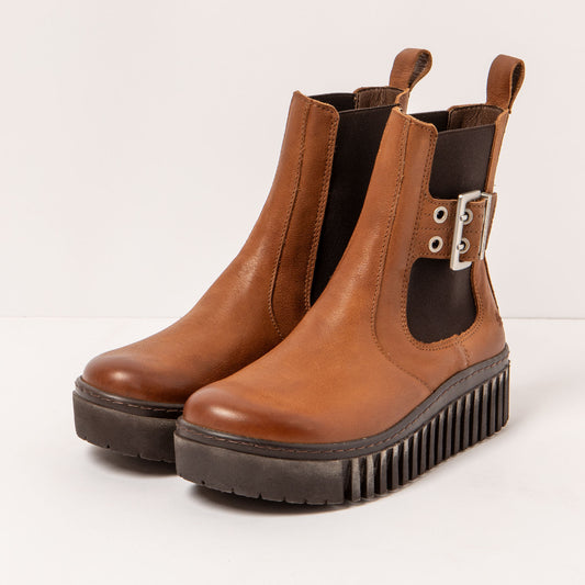 gid://shopify/Product/15693990986060_2