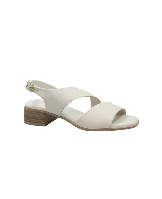 gid://shopify/Product/15913040216396_1