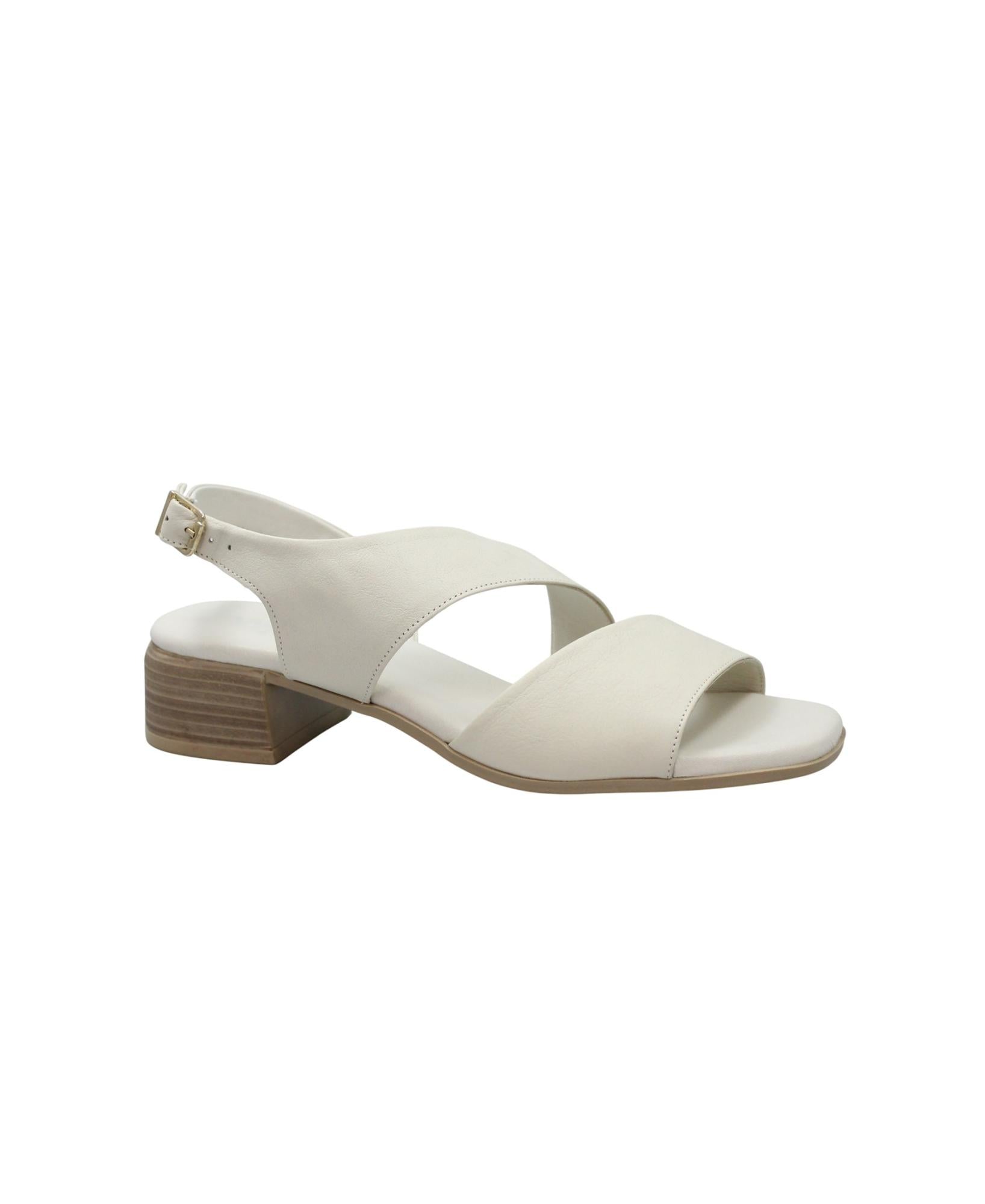 gid://shopify/Product/15913040216396_1