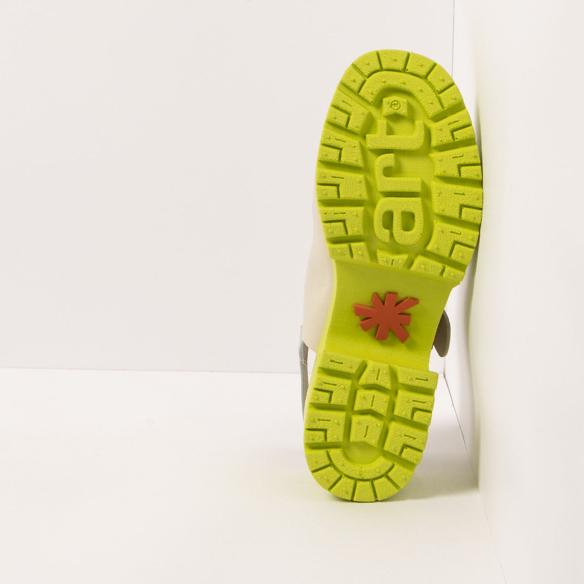 gid://shopify/Product/16171549393228_6