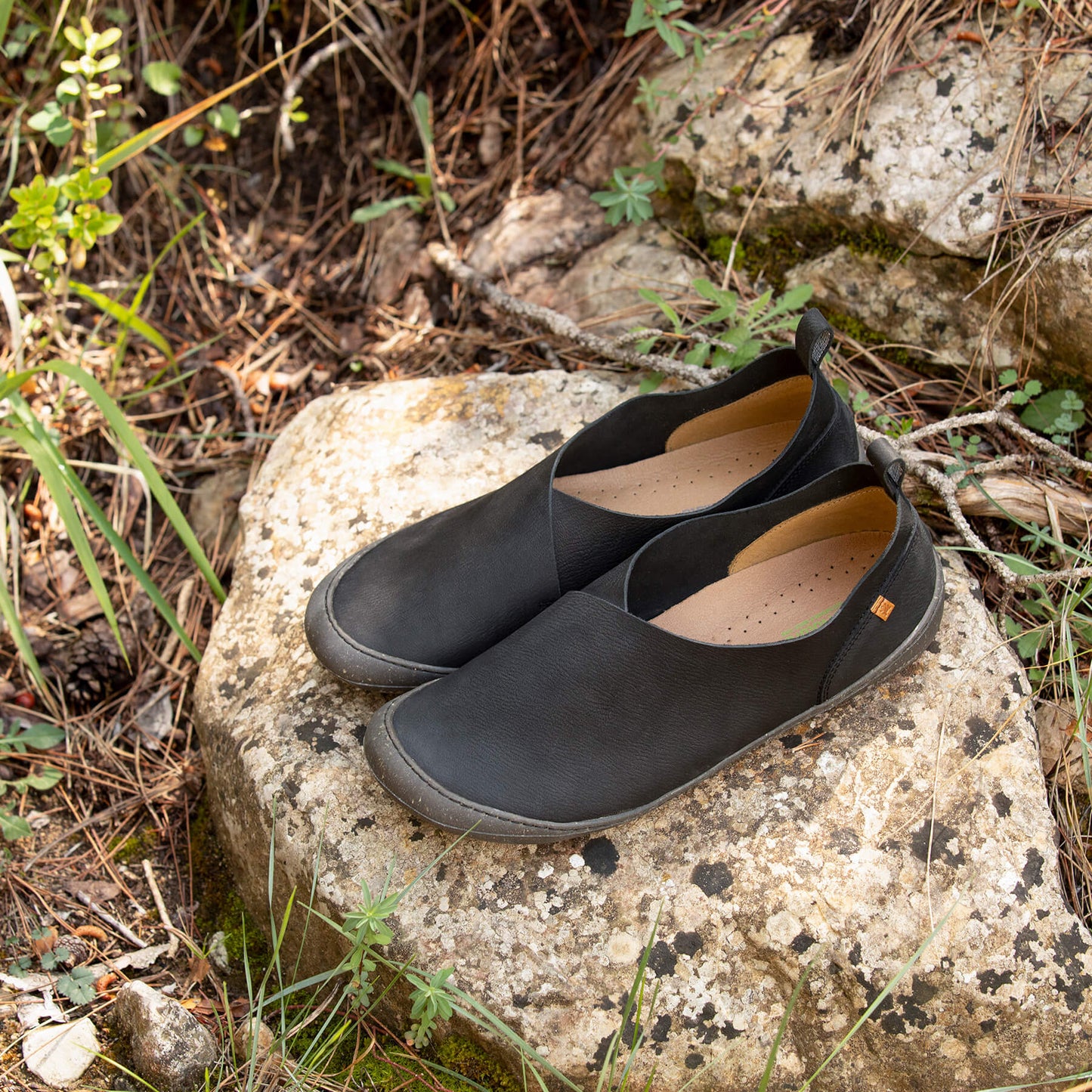 gid://shopify/Product/15700053098828_7