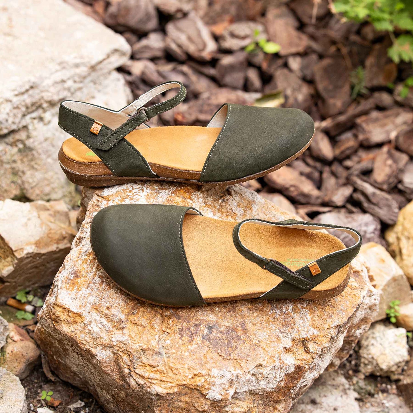 gid://shopify/Product/15700686831948_7