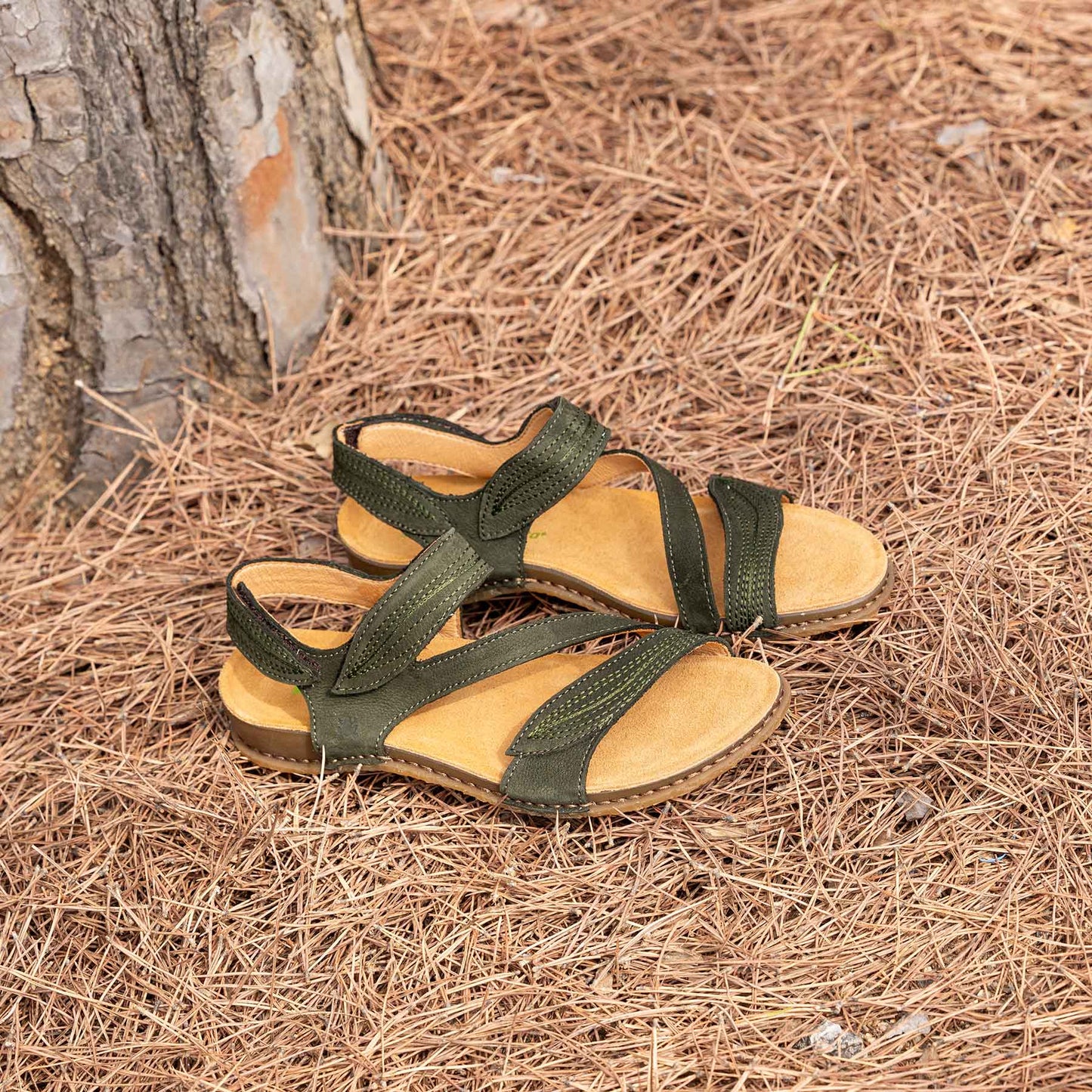 gid://shopify/Product/15700514406732_7