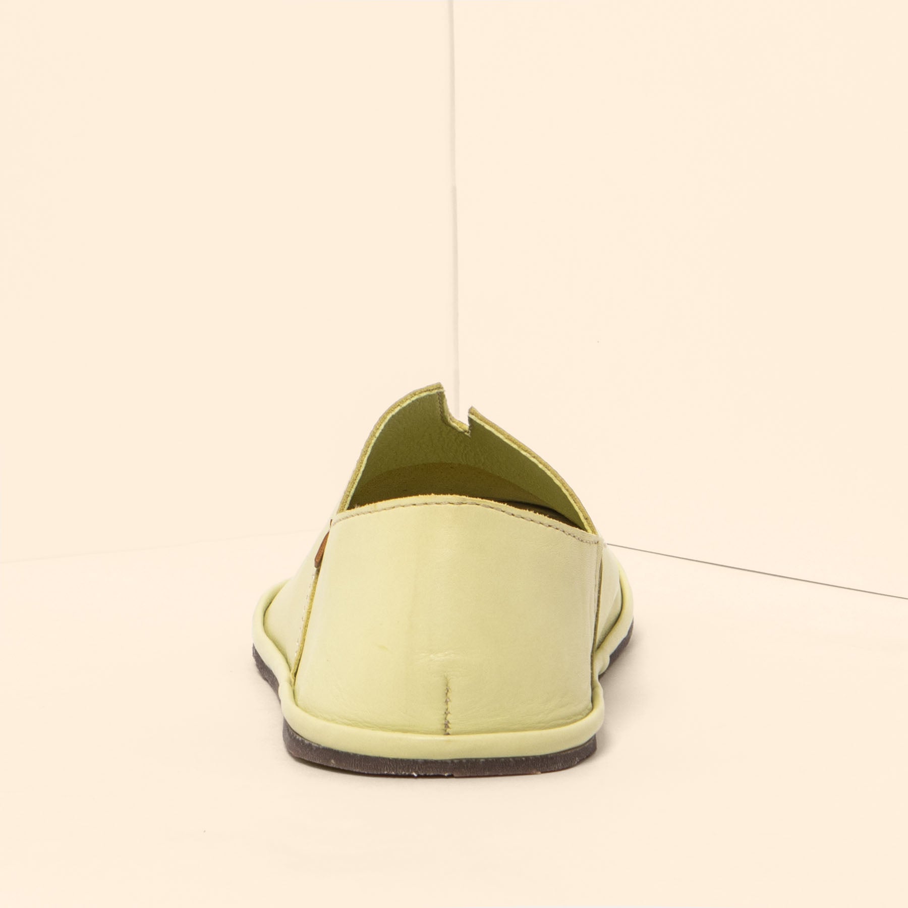 gid://shopify/Product/15700420788556_5