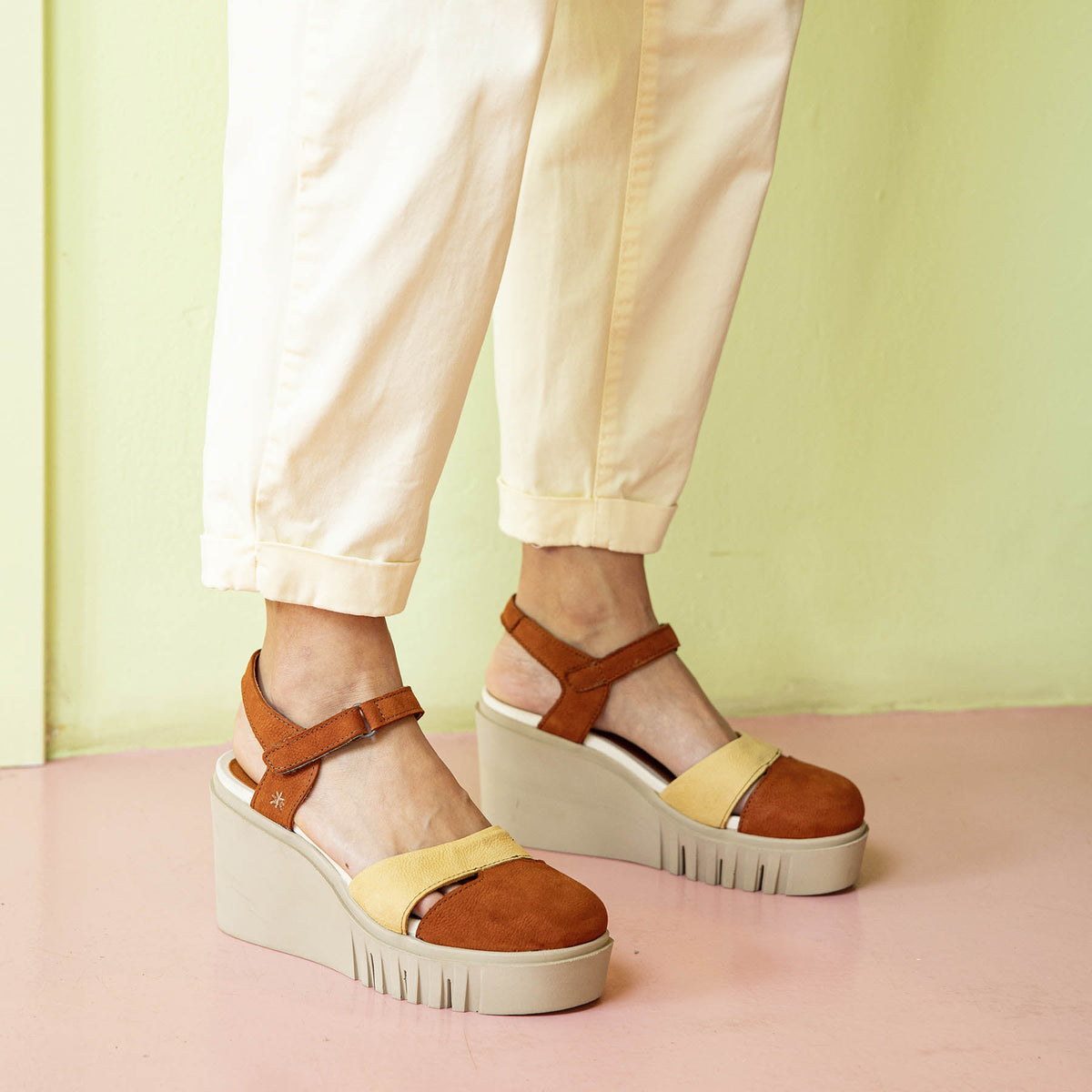 gid://shopify/Product/16173100171596_6
