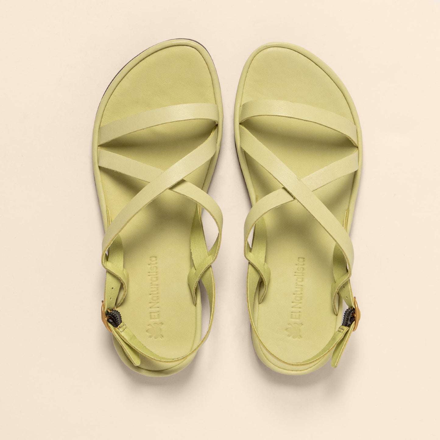 gid://shopify/Product/15700474036556_4