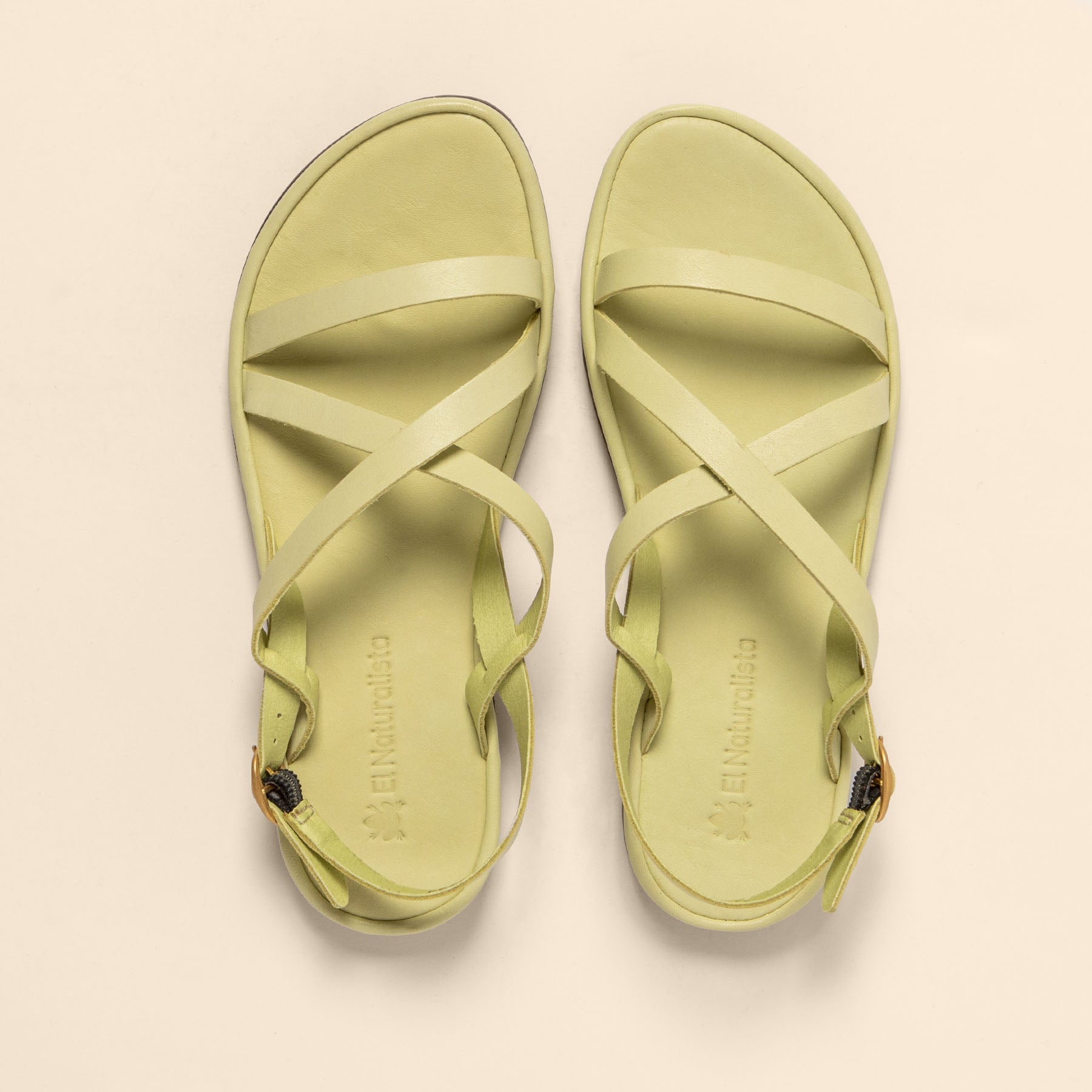 gid://shopify/Product/15700474036556_4