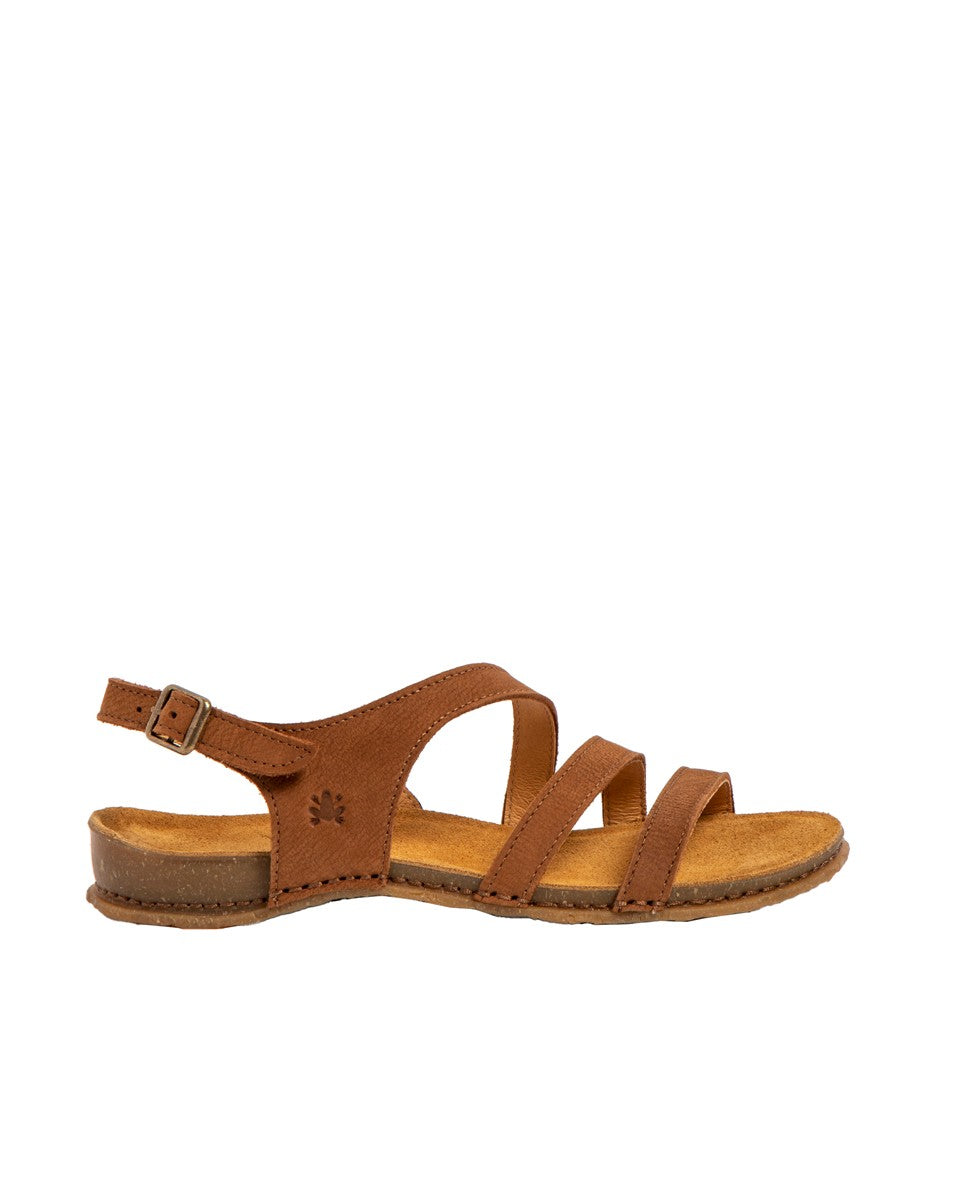 gid://shopify/Product/15791571272012_1