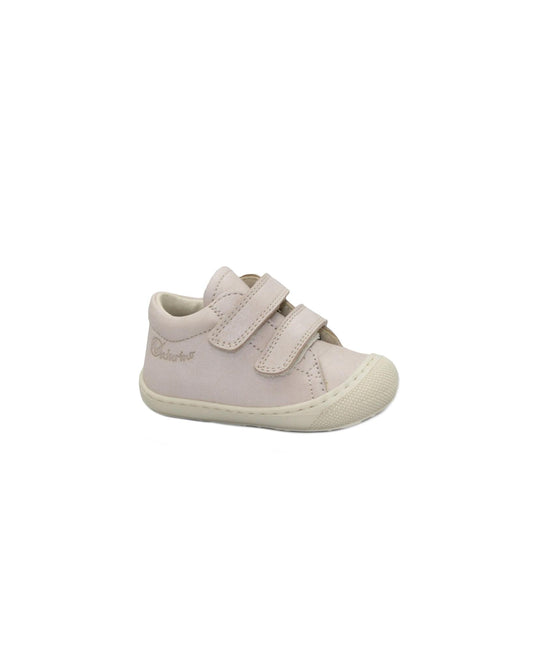 gid://shopify/Product/15738081870156_1
