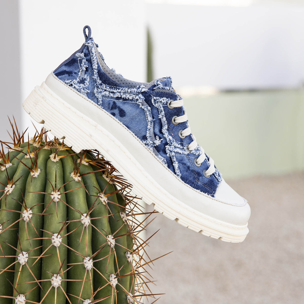 gid://shopify/Product/16172990759244_7