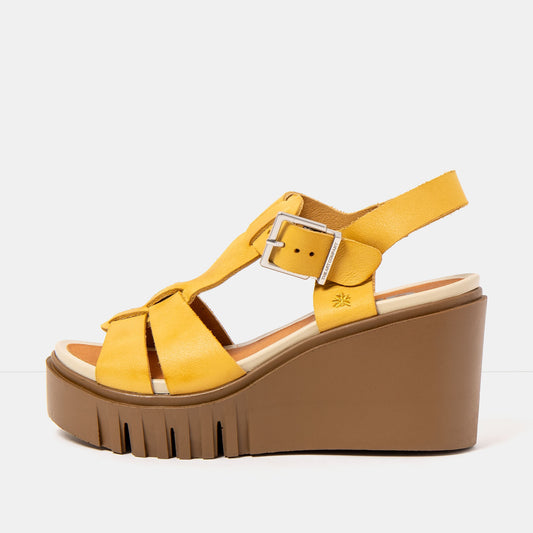 gid://shopify/Product/16173101777228_1