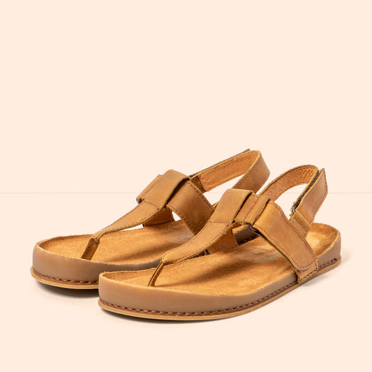gid://shopify/Product/16124878225740_2