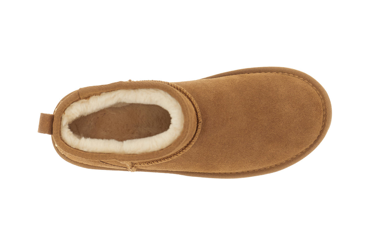 gid://shopify/Product/16122434847052_3