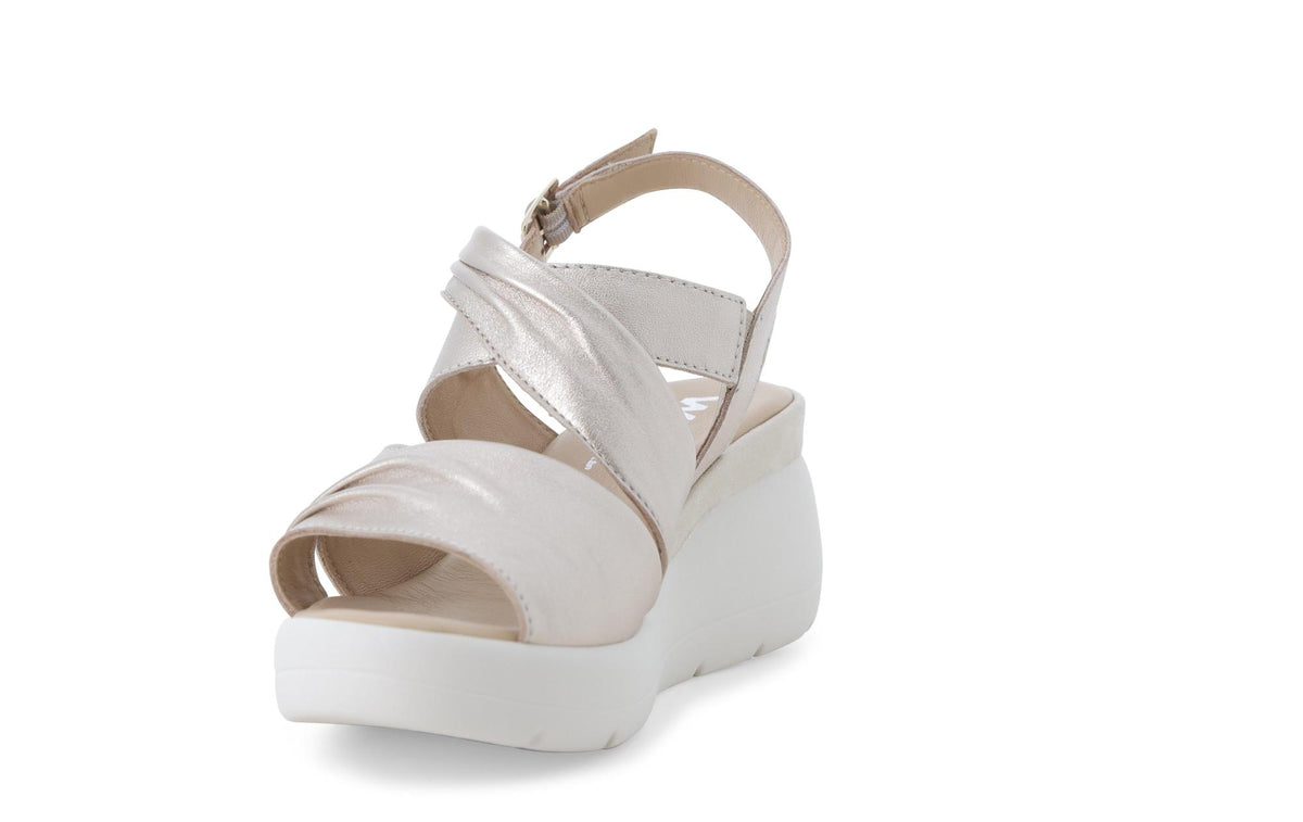 gid://shopify/Product/15761200742732_3