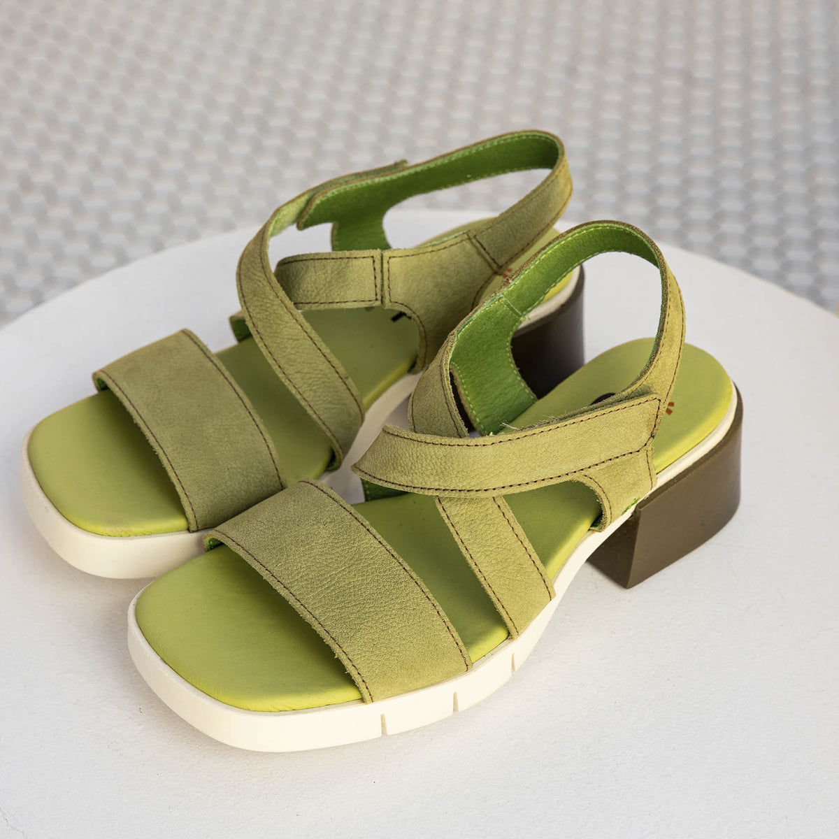 gid://shopify/Product/16173092700492_7