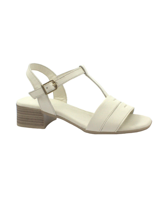 gid://shopify/Product/15739926315340_1