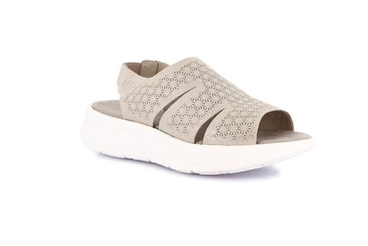 gid://shopify/Product/15713402323276_1
