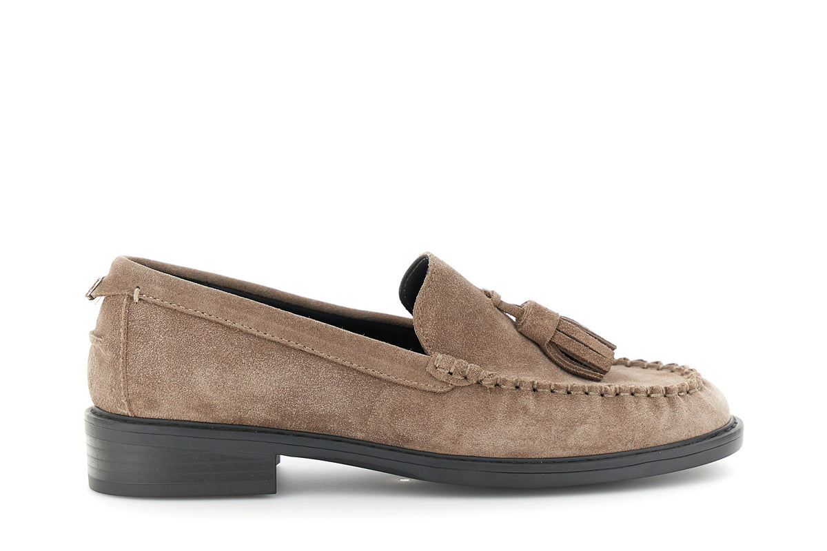 gid://shopify/Product/16122453590348_58877074473292