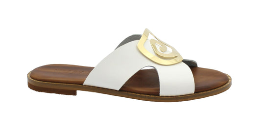 gid://shopify/Product/15739683733836_1