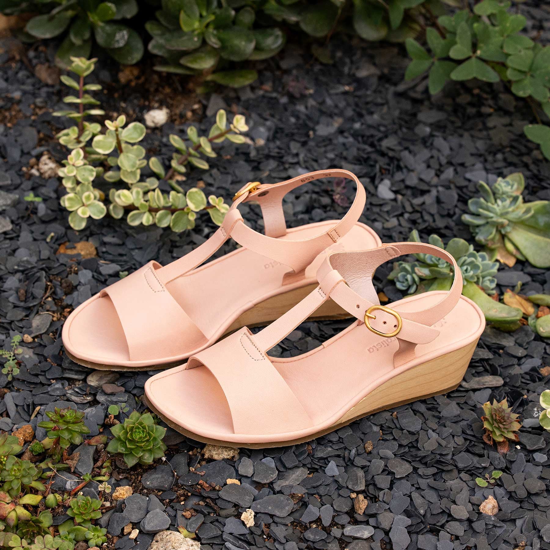 gid://shopify/Product/15700723040588_7