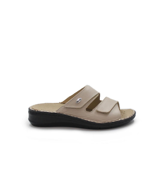 gid://shopify/Product/15738013745484_1