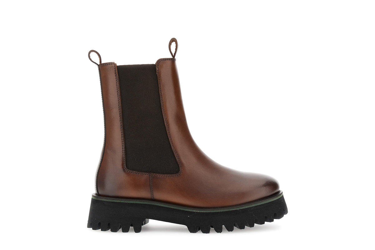 gid://shopify/Product/16122171359564_1