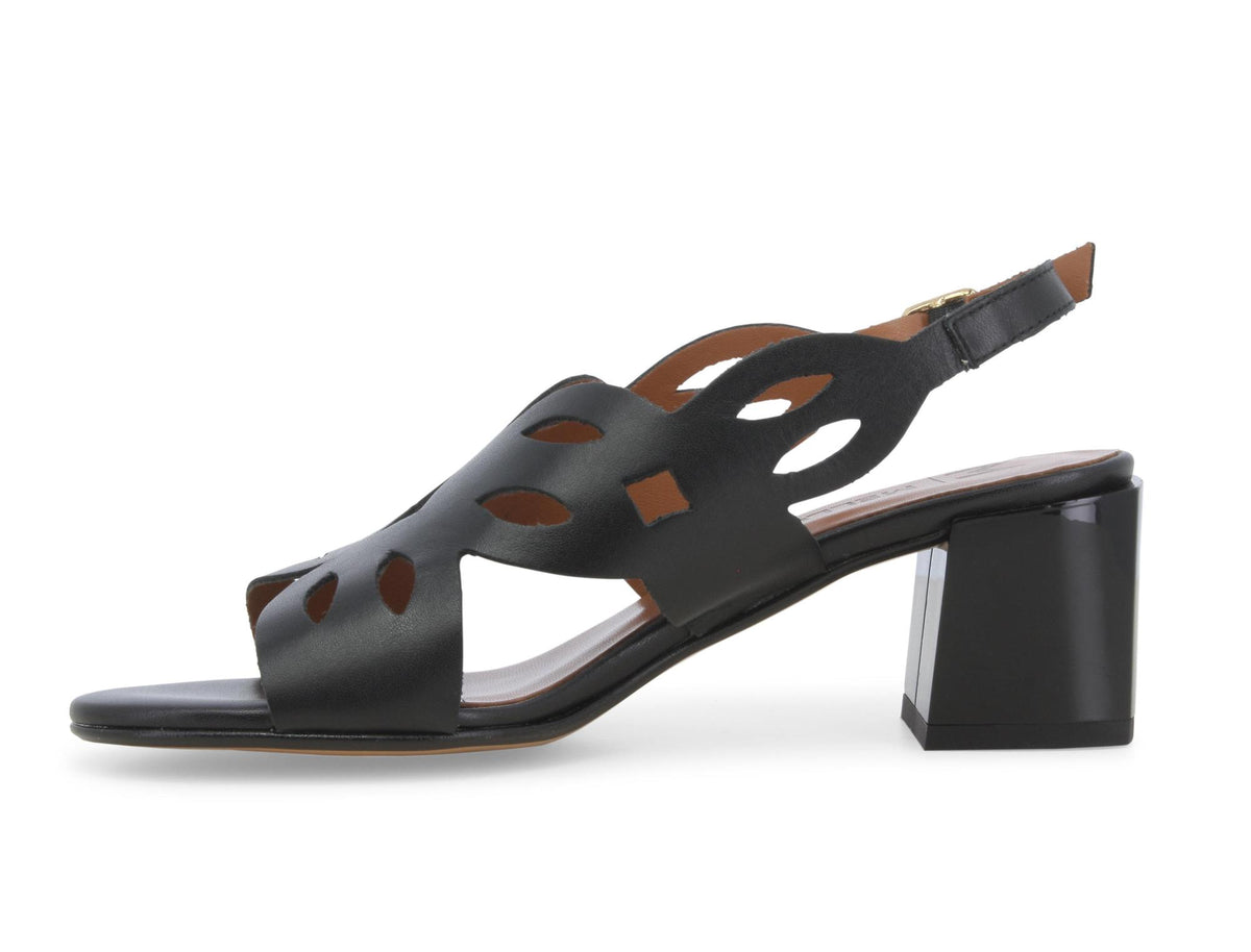 gid://shopify/Product/15761122427212_4