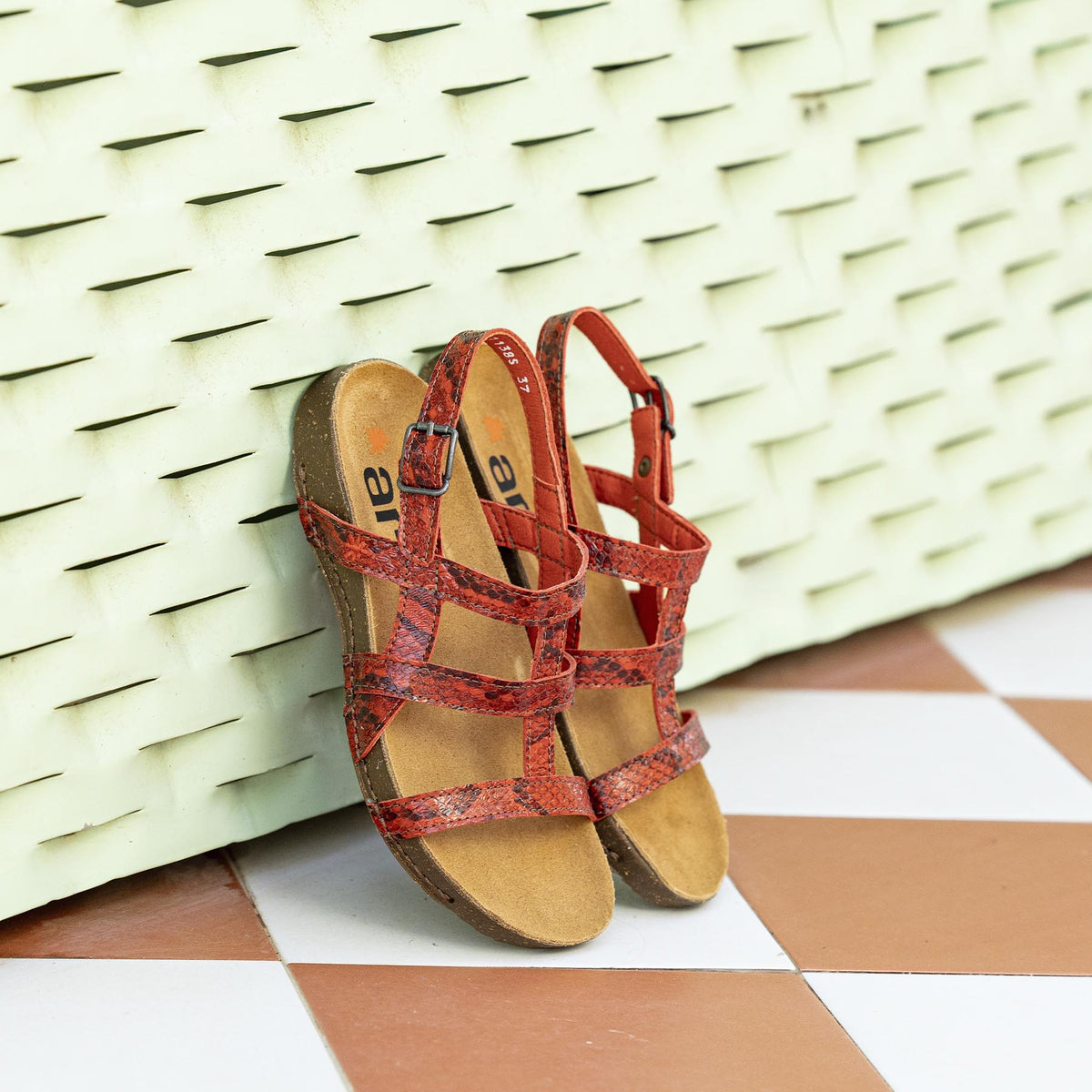 gid://shopify/Product/16172868927820_7