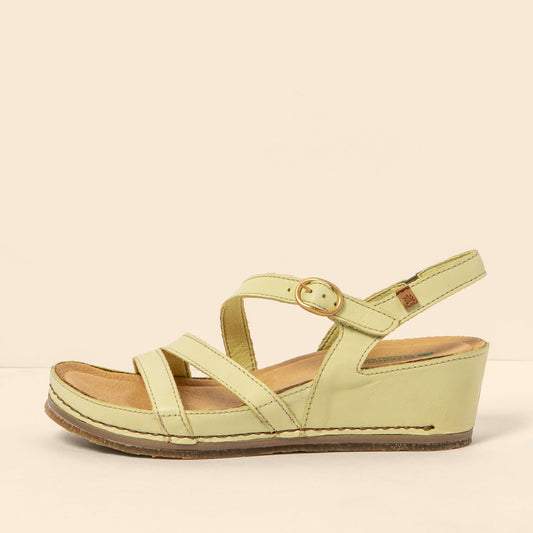 gid://shopify/Product/15791896822092_1