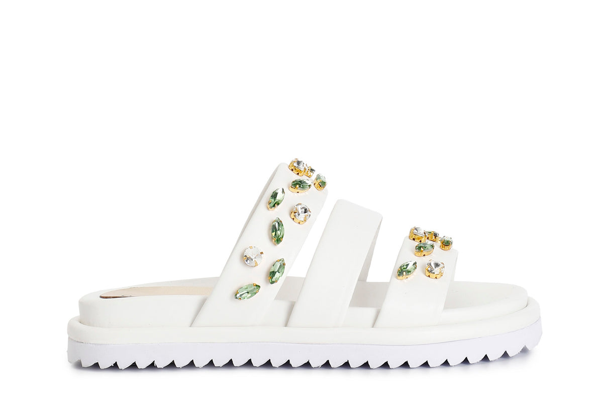 gid://shopify/Product/16122000671052_1