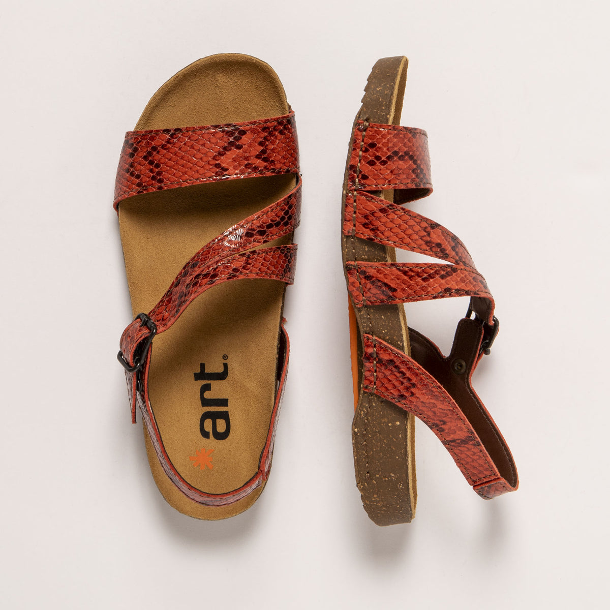gid://shopify/Product/16171966431564_4