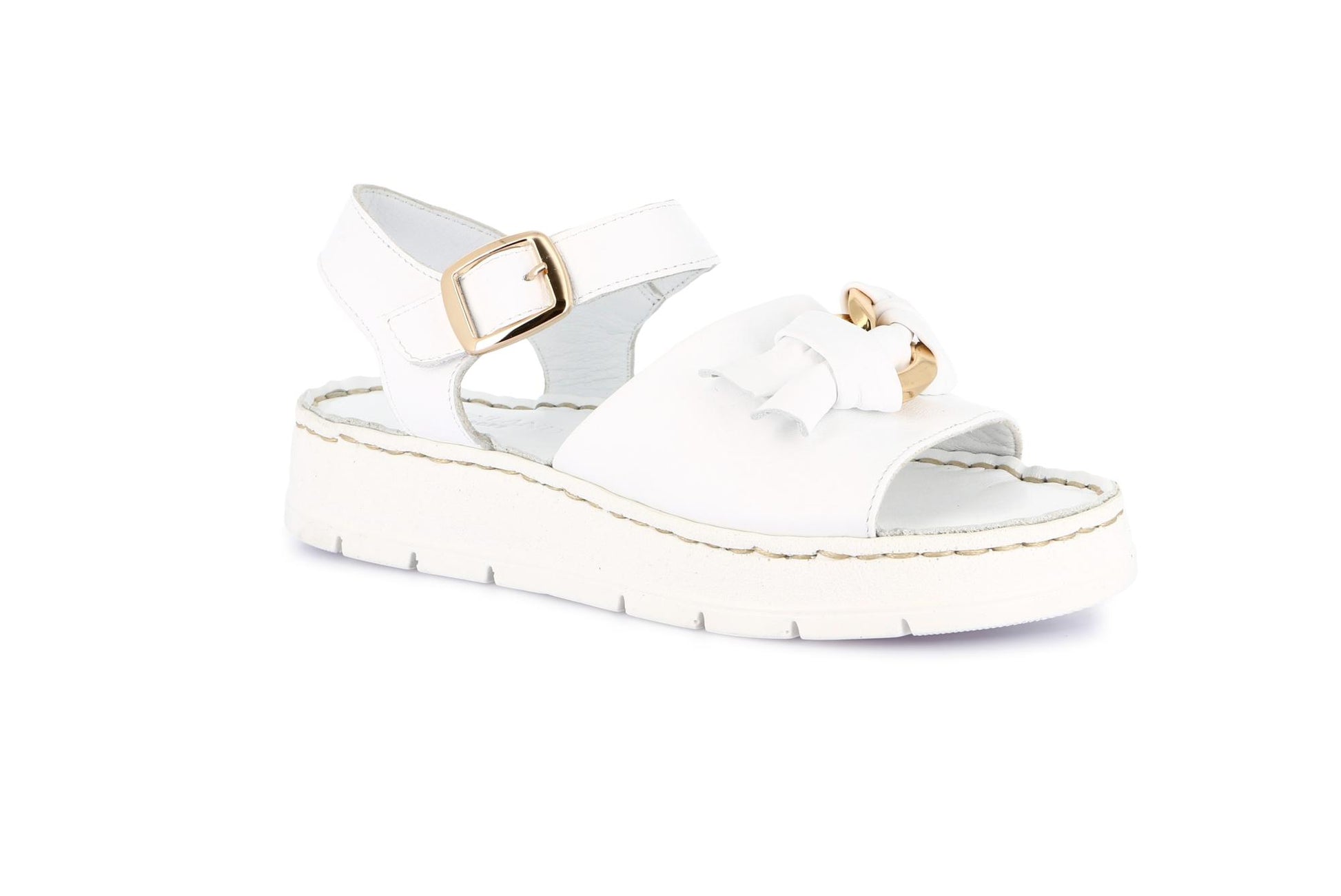 gid://shopify/Product/15798261317964_1